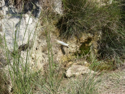 Fuente el Grollaor - imagen 2