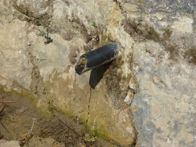 Fuente el Grollaor - imagen 5