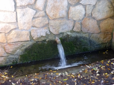 Fuente del Medio Celemín - imagen 3