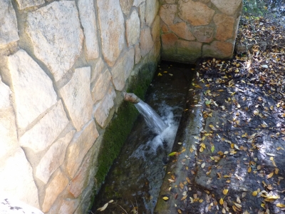 Fuente del Medio Celemín - imagen 4