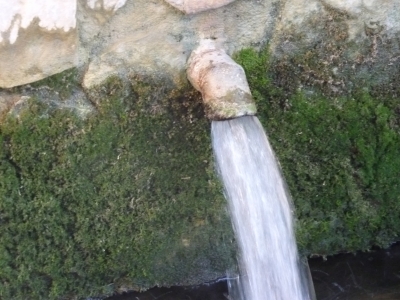 Fuente del Medio Celemín - imagen 5