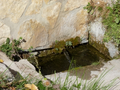 Fuente de Ojo Claro - imagen 3