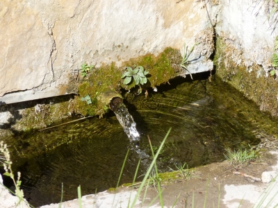 Fuente de Ojo Claro - imagen 4