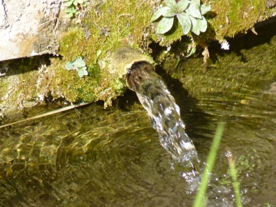 Fuente de Ojo Claro - imagen 5