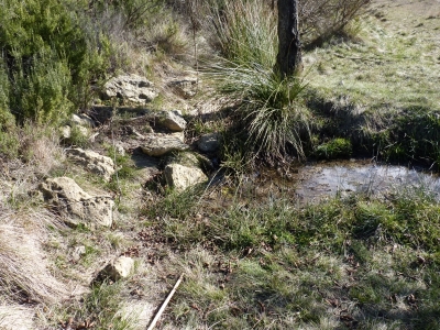 Fuente del Perdigón - imagen 1