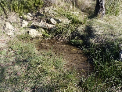 Fuente del Perdigón - imagen 2
