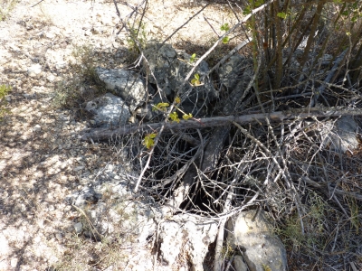 Pozo de Cañailla Hermosa - imagen 3