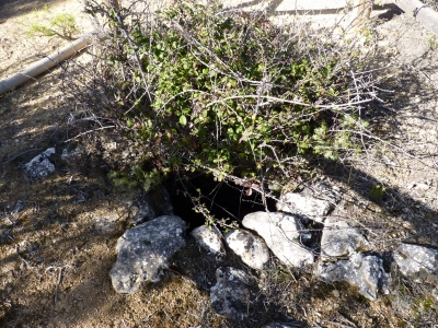 Pozo de Juan Naranjo - imagen 1