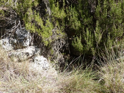 Pozo la Merendilla - imagen 5