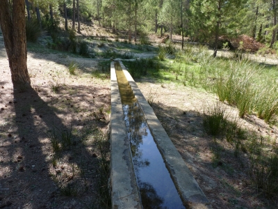 Fuente del Santillo - imagen 6