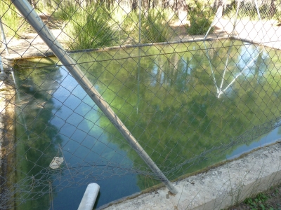 Fuente del Santillo - imagen 7