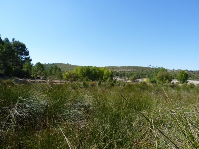 Fuente somera - imagen 7