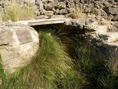 Fuente de la Teja - imagen 1