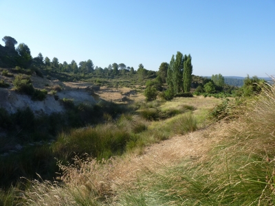 Fuente de la Teja - imagen 6