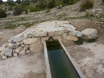 El Tornajo de la Fuente la Hoya - imagen 2