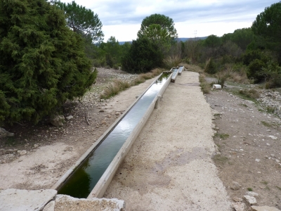 El Tornajo de la Fuente la Hoya - imagen 3
