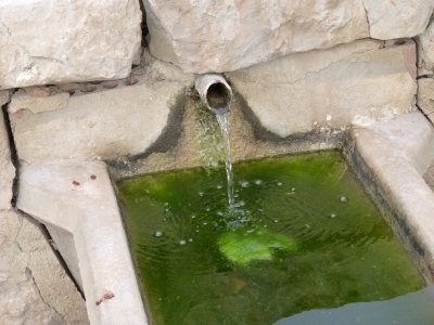 El Tornajo de la Fuente la Hoya - imagen 4