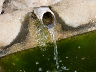 El Tornajo de la Fuente la Hoya - imagen 5