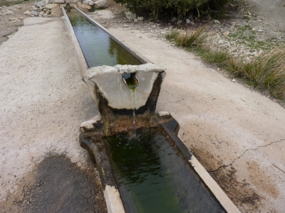 El Tornajo de la Fuente la Hoya - imagen 6
