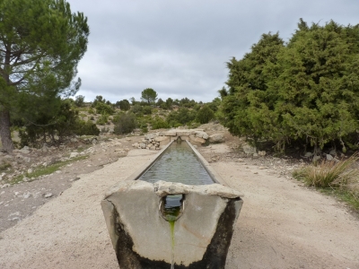 El Tornajo de la Fuente la Hoya - imagen 7