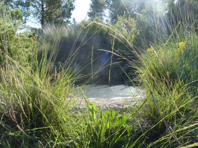 Fuente la Pobadilla I - imagen 1