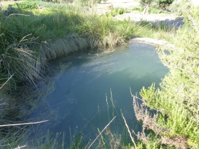 Fuente la Pobadilla I - imagen 2
