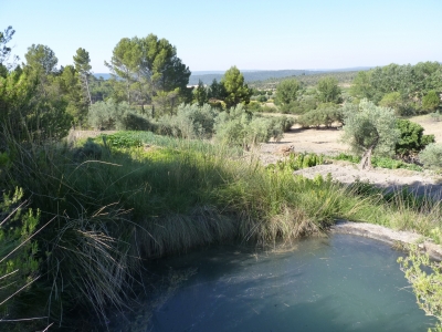 Fuente la Pobadilla I - imagen 3