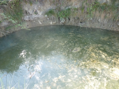 Fuente la Pobadilla II - imagen 1