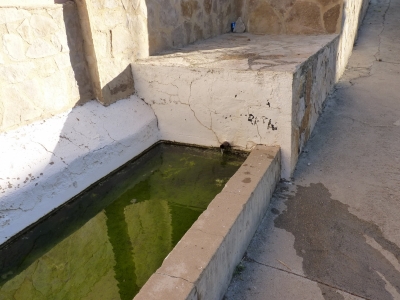 Fuente Antona - imagen 2