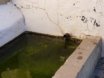 Fuente Antona - imagen 4