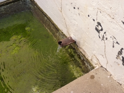 Fuente Antona - imagen 5