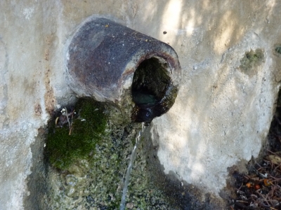 Fuente del Barranco - imagen 3