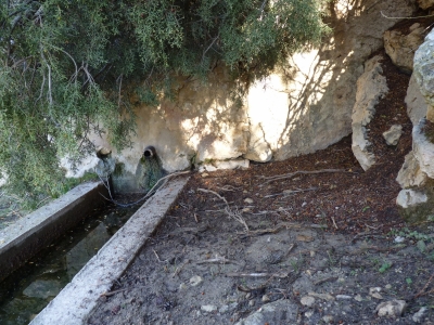 Fuente del Barranco - imagen 4