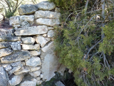 Fuente del Barranco - imagen 5