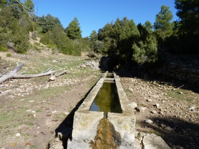 Fuente del Barranco - imagen 6