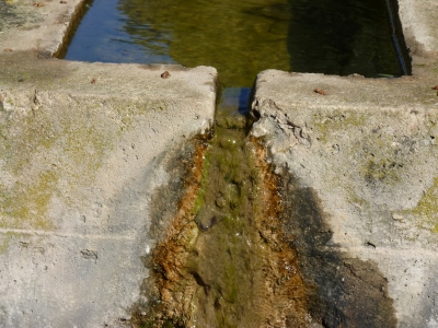 Fuente del Barranco - imagen 9