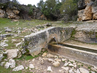Fuente Bernardo - imagen 1