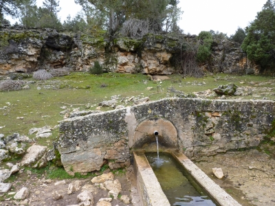 Fuente Bernardo - imagen 2
