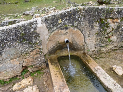Fuente Bernardo - imagen 3