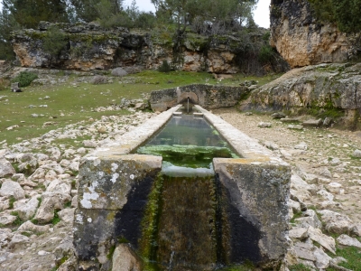 Fuente Bernardo - imagen 4