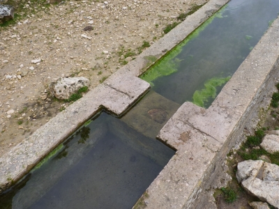 Fuente Bernardo - imagen 5
