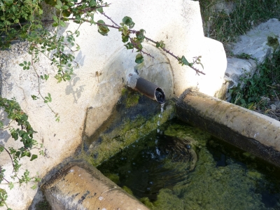 Fuente del Chorrillo - imagen 2