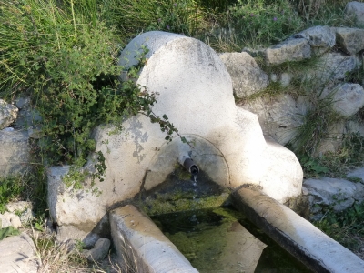 Fuente del Chorrillo - imagen 3