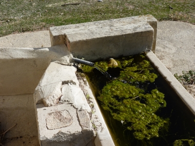Pozo de Navaseca - imagen 7