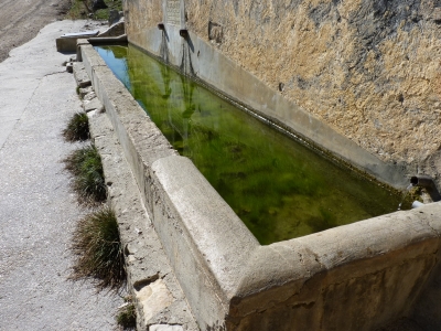 Fuente de San Román - imagen 3