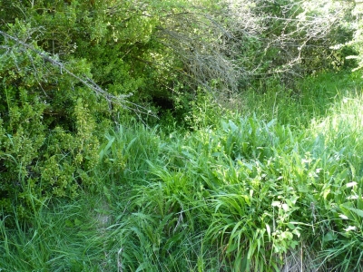 Fuente las Pobedas - imagen 1