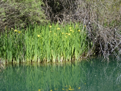 Fuente las Pobedas - imagen 7