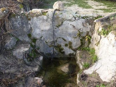 Balsas del Puente del Río I - imagen 1