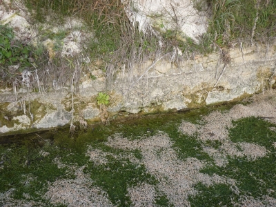 Balsas del Puente del Río I - imagen 3