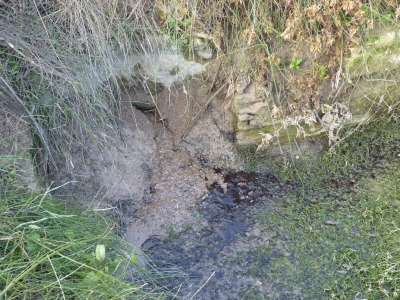 Balsas del Puente del Río I - imagen 4
